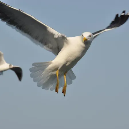 Szálloda Fletcher - Restaurant De Cooghen